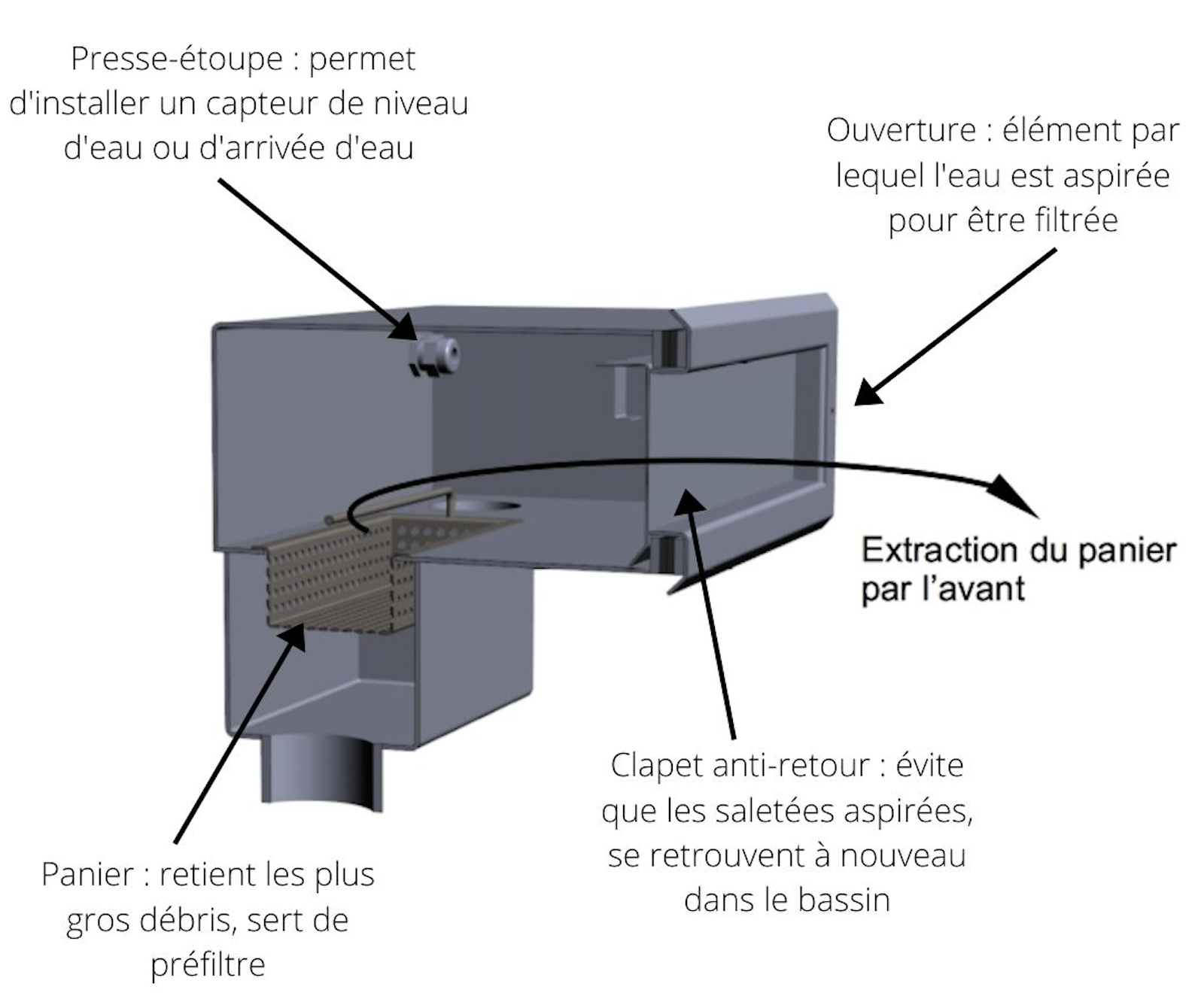 schéma skimmer piscine